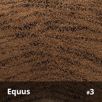 Equus 3
